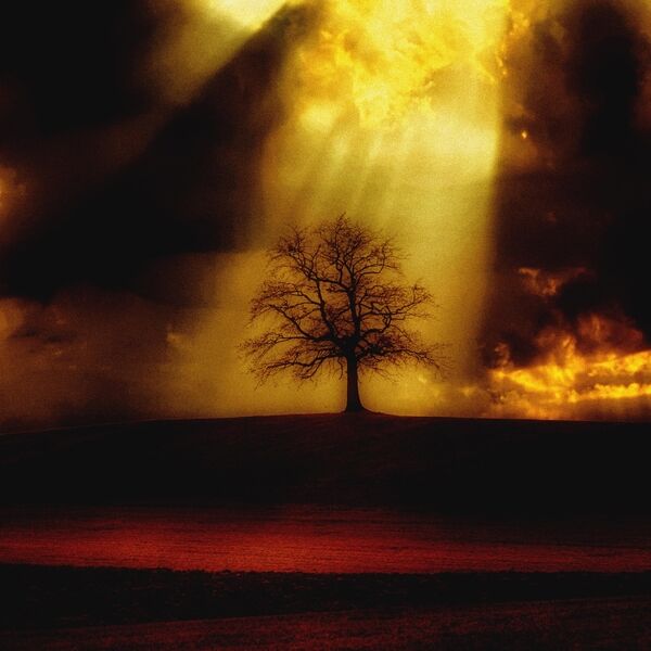 Cover art for Sunset Mystic